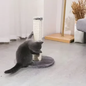 Котешка играчка "Скрач"